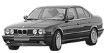 BMW E34 P2443 Fault Code